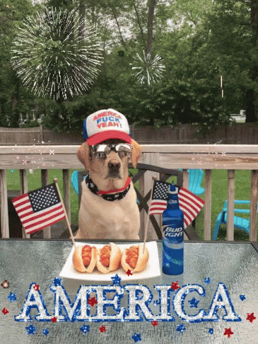 4th Of July Independence Day GIF - 4th Of July Independence Day Dogs GIFs