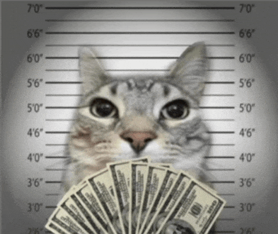 a cat is holding a fan of 100 dollar bills in front of a police lineup