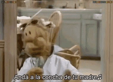 a cartoon pig says andá a la concha de tu madre ..