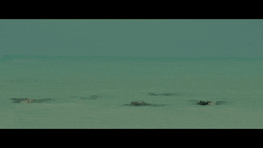 a seahorse is swimming in the ocean with a large spiky head
