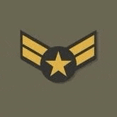 a military badge with wings and a star on it .