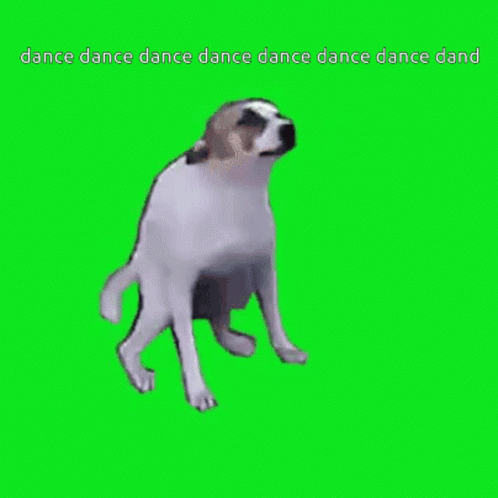 Dog Dance GIF - Dog Dance Money Money GIFs
