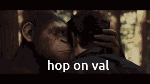 a man and a monkey are looking at each other and the monkey says hop on val in white letters