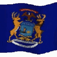 a flag with a coat of arms on it