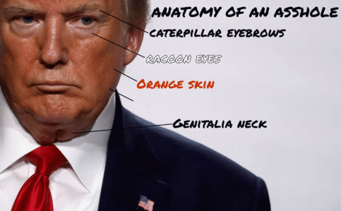 Orange Skin Asshole GIF - Orange Skin Asshole Potus GIFs