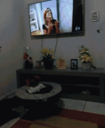 a blurred image of a living room with a flat screen tv on the wall