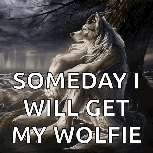 a picture of a wolf sitting under a tree with the words someday i will get my wolfie