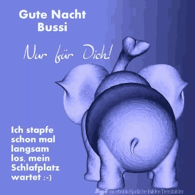 a picture of an elephant with the words gute nacht bussi
