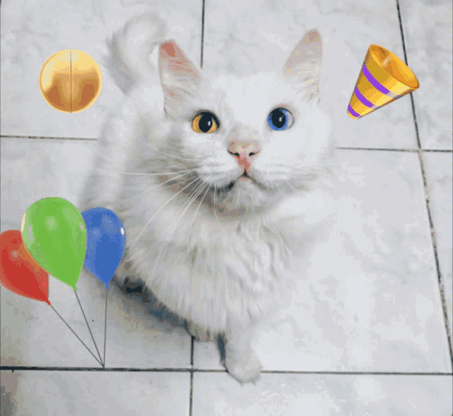a white cat surrounded by balloons and beer mugs with feliz cumpleanos written in yellow