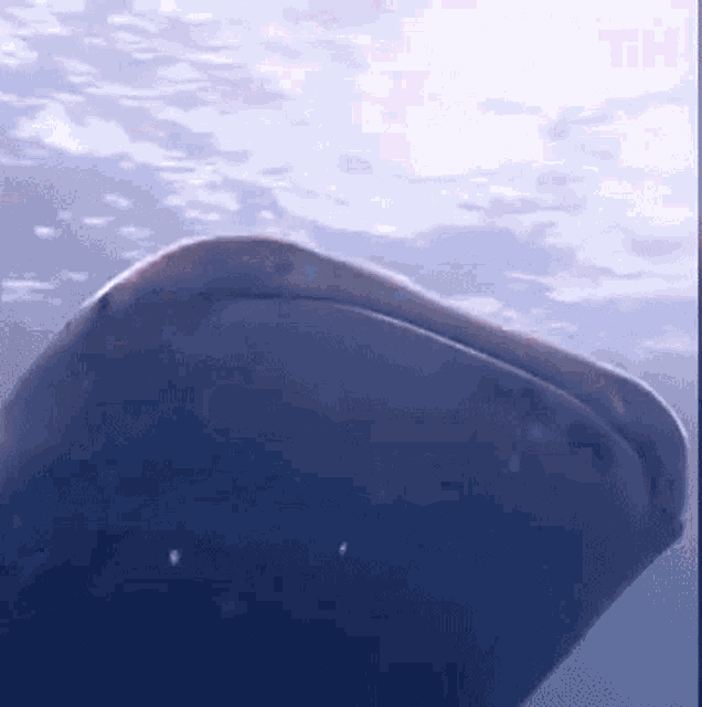 Swimming Swimming Together GIF - Swimming Swimming Together Under The Sea GIFs