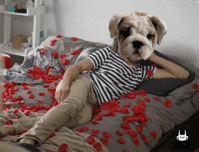 a person with a dog 's head on a bed