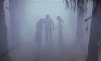 Fright In The Fog! GIF - घना कोहरा धुंध GIFs