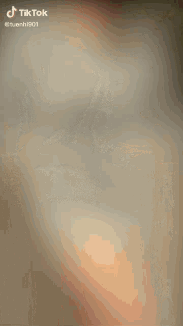 a blurry picture of a woman with tiktok written on the bottom right corner