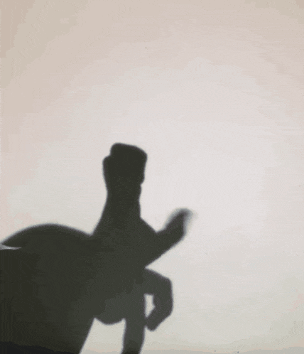 a shadow of a person 's hand is making a peace sign