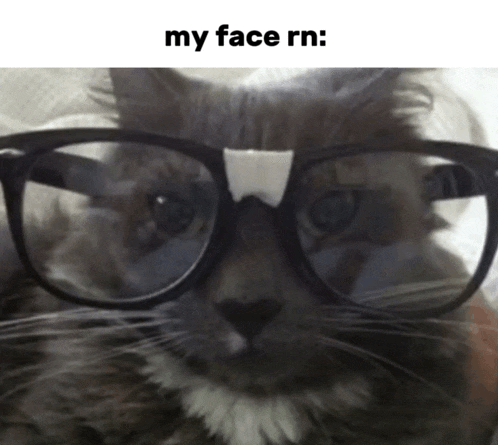 a cat wearing glasses with the caption my face rn on the bottom