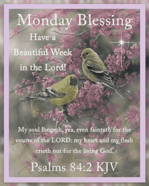 Tuesday Blessing GIF - Tuesday Blessing Good GIFs