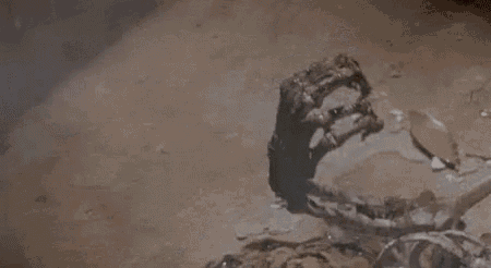 a skeleton is laying on the ground with blood coming out of it 's head .