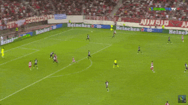 a soccer player celebrates a goal in front of a heineken advertisement