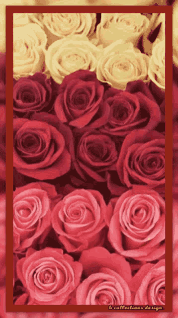 a bunch of red and yellow roses are in a frame