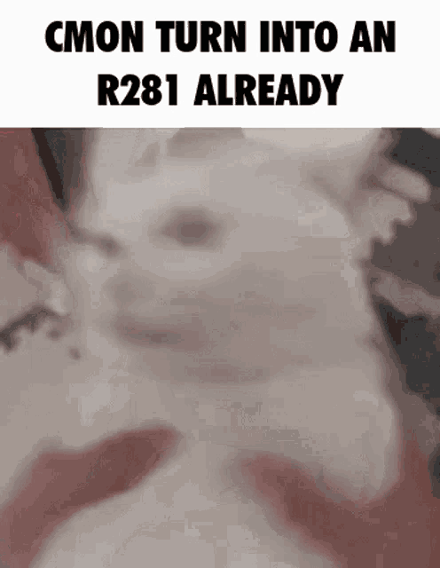 a close up of a cat 's face with the words `` cmon turn into an r281 already '' written above it .