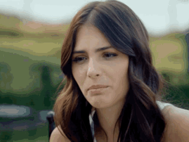 Foq Foq El Reencuentro GIF