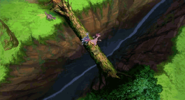 an aerial view of a canyon with a fallen tree branch