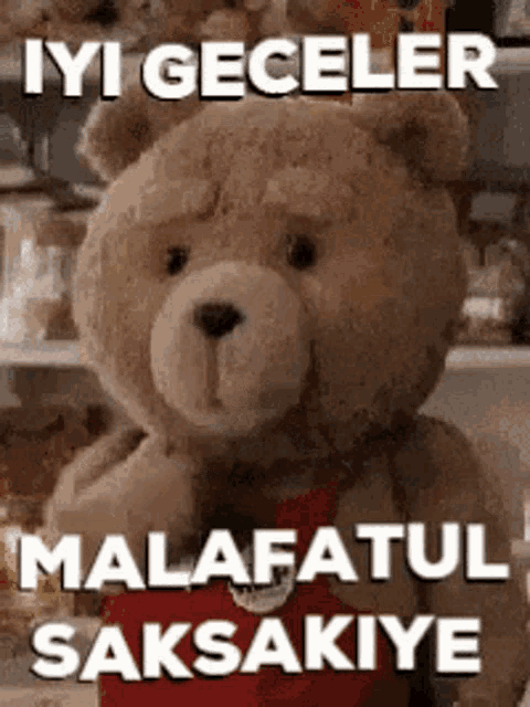 a teddy bear with the words iyi geceler malafautul saksaniye written above it
