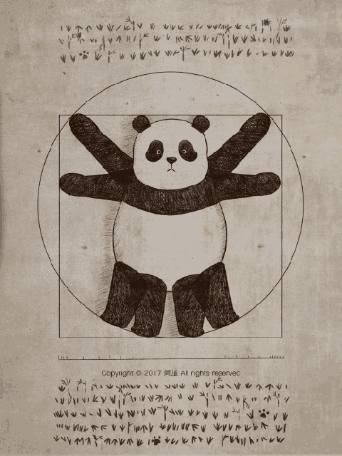 a drawing of a panda bear in a circle with the year 2017 on the bottom