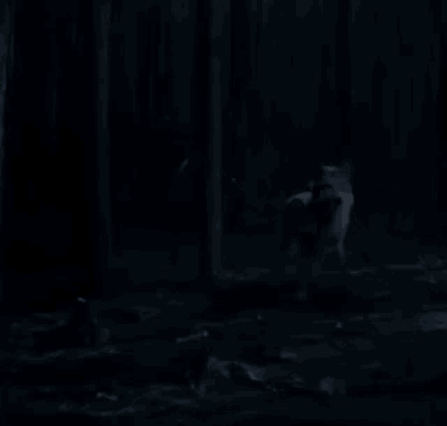 a white wolf is walking through the woods at night .