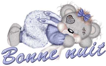 a teddy bear is laying down with the words bonne nuit written below it