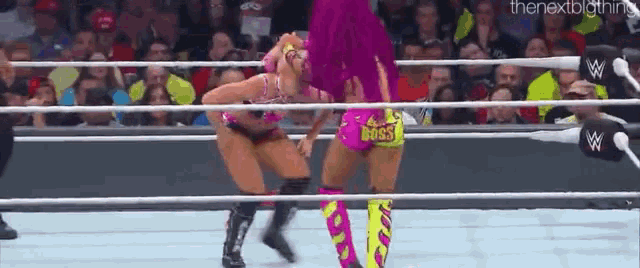 two women are wrestling in a wrestling ring .