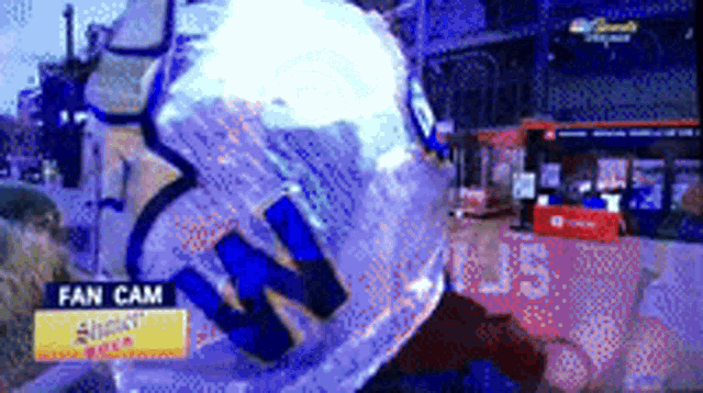 Chicago Cubs Fan GIF - Chicago Cubs Fan GIFs