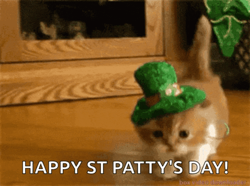 a kitten wearing a green hat with the words happy st patty 's day below it