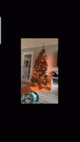 Merry Christmas Ralphie GIF - Merry Christmas Ralphie Cat GIFs