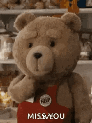 a teddy bear wearing a red apron and a help button is standing in front of a shelf .