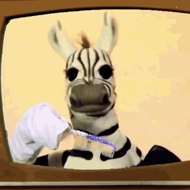 a zebra is brushing its teeth in front of a tv