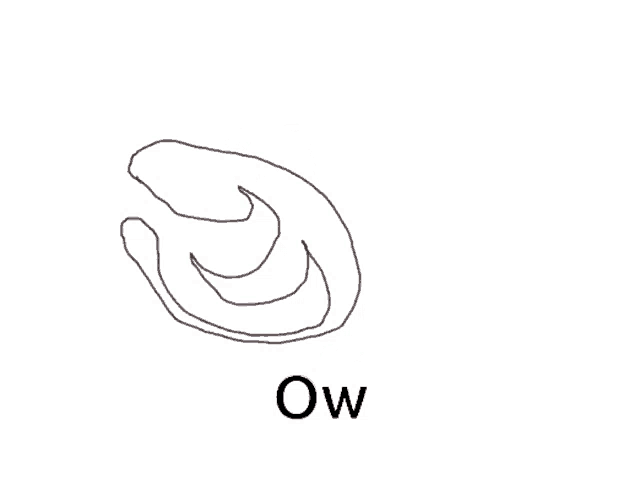 a black and white drawing of a swirl with the word ow below it