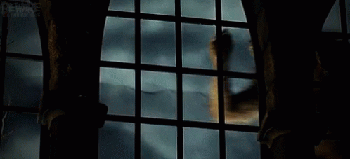 Werewolf Break In GIF - Werewolf Break In Breaking In GIFs