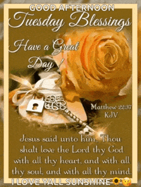 jesus said unto him thou shall love the lord thy god with all thy heart and with all thy mind
