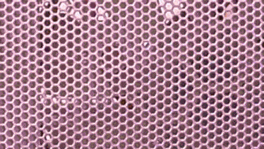 a close up of a pink sequined fabric with a honeycomb pattern