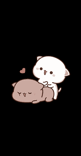 a white cat laying on top of a grey cat