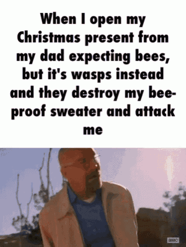 Christmas Breakingbad GIF - Christmas Breakingbad Bees GIFs