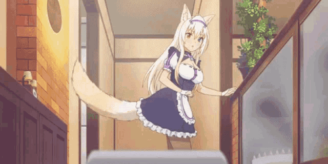 a maid with a cat tail is standing on a shelf