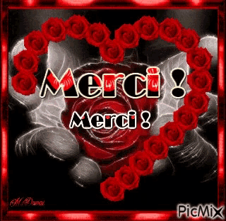 a picture of a heart surrounded by red roses that says merci merci