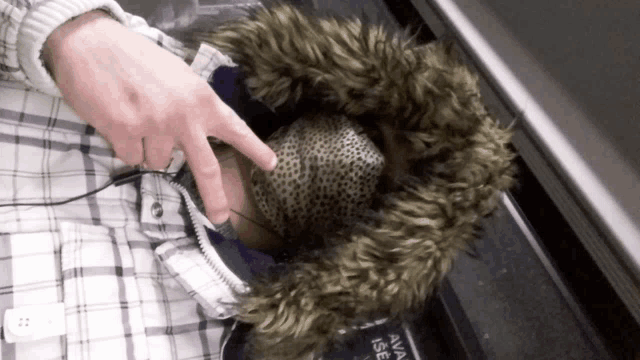 a person wearing a plaid jacket with a fur hood is pointing at the hood