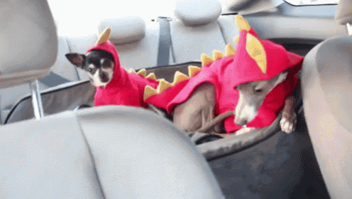 two small dogs are dressed up in dragon costumes in the back seat of a car
