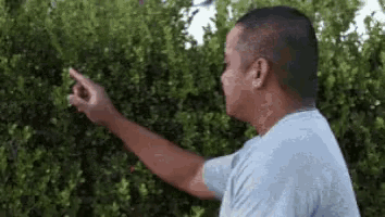 a man in a blue shirt is pointing at a tree .