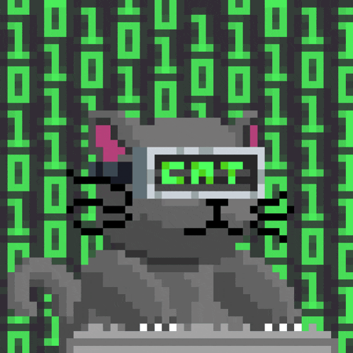 a pixel art of a cat wearing goggles with the word cat on it