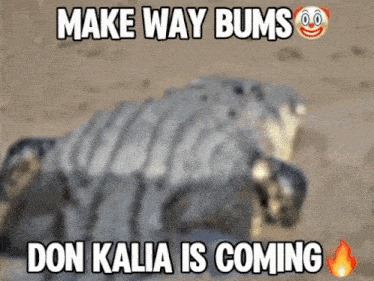 a picture of a turtle with the words make way bums don kalia is coming below it