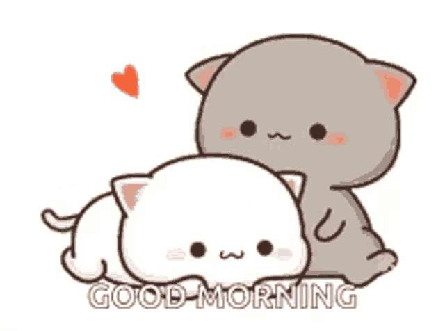 a couple of cats hugging each other with the words `` good morning '' .